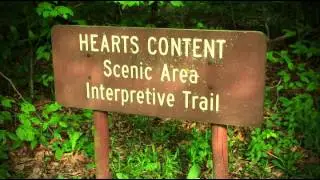 I Heart Cliches
