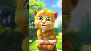 Talking ginger 