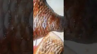 Fried yam with Fried Tilapia fish 😋👌 served with a stew #friedfish #yam #quickrecipe
