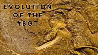The Evolution of the #BGT