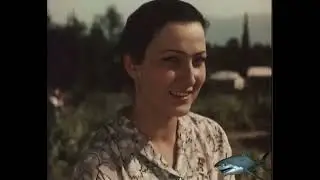 (12) მიდის სანახავად