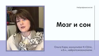 Мозг и сон. Нейрофизиология.