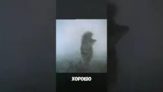 🦔 ЁЖИК В ТУМАНЕ САЙЛЕНТ ХИЛЛА 👻 