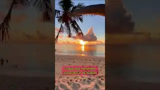 А как ты провел лето? 🌴 #лето #пальмы #отдых