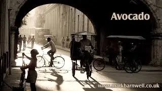 Latin / Salsa Spanish Guitar Music - Avocado (Mark Barnwell)