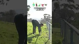 How animals get over a fence 😂 pt2 (With emojis)