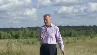 вырубка леса альтернативный взгляд.