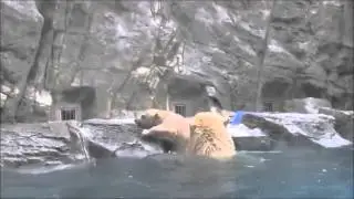 Заботливая мама