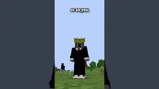 NO ONE KNOWS ABOUT THIS FEATURE...