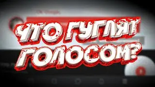 ЧТО ЛЮДИ ГУГЛЯТ ГОЛОСОМ