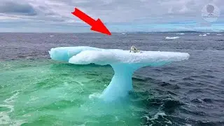 Fishermen thought it was a seal on an iceberg but they were shocked to realise who it actually was…