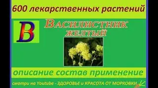 the yellow Columbine 600 medicinal plants