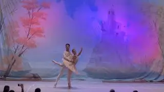 Pas de deux - Bela Adormecida - terceiro ato