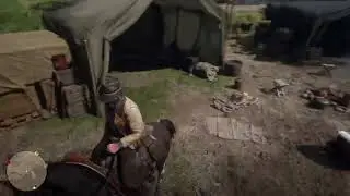 Red Dead Redemption 2 Second Playthrough