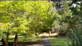 Stillwater Reserve Relaxing Walk, New Zealand