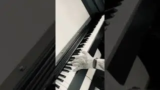 Олег Олегович #2