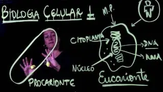 Aula 1 CÉLULAS PROCARIONTES e EUCARIONTES