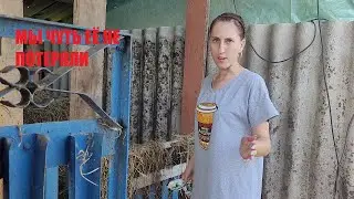 ДЕРЕВЕНСКИЕ БУДНИ \ ИСПЫТАЛИ СТРЕСС \ ЧУТЬ НЕ ПОТЕРЯЛИ ВЗРОСЛУЮ СВИНЬЮ