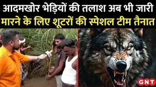 Bahraich Wolf Attack: आदमखोर भेड़िये पर काबू क्यों नहीं पाया जा सका है, क्या है पकड़ने का नया प्लान?