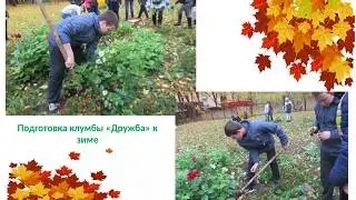И снова осень к нам пришла