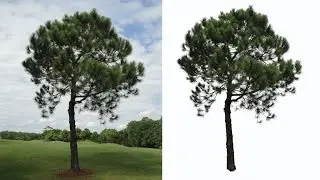 Remove Complex Background : Photoshop Tutorial