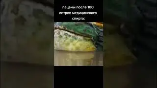 Мемасы из Тик Тока #юмор #мем #ржака #смех #прикол #смешно #shorts #мемы #MEMES #ЛУЧШЕЕ #tiktok