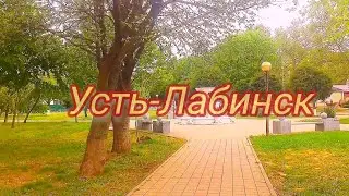 О поездке в родной город 