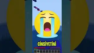 Minecraft Kız mısın Erkek mi