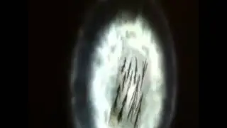 Slenderman Digital Media