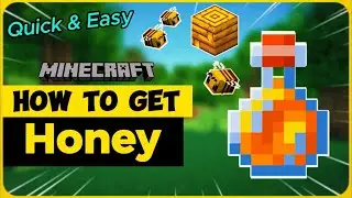 How To Get Honey in Minecraft | Quick & Easy Tutorial