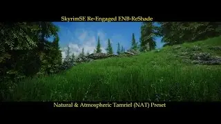 SkyrimSE Re-Engaged ENB+ReShade NAT Ultimate Preset(V2.9)