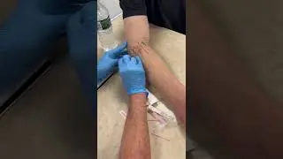 Occupational therapists 