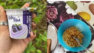 Milky Mist Yogurt Review || Aaj Full Day Ghar Mein Masti