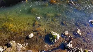 FISHING WITH TROUT HUNTING NZ!