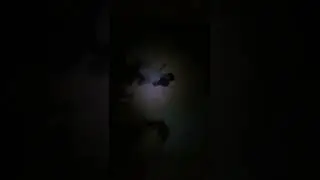 Ван Дамм и Боло Янг в стиле детей😅👍