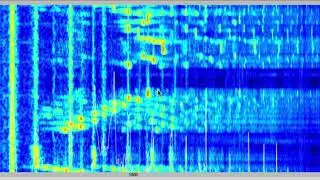 Flute spectrogram- Microphone test AKG 414B Xlii