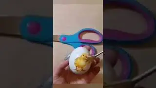 Как украсить яйца на Пасху🐣