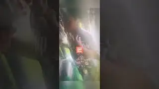 Today foolio was laid to rest RIP 🕊️