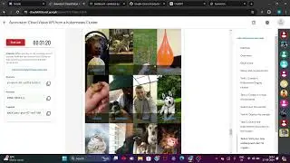 Awwvision Cloud Vision API from a Kubernetes Cluster || Week 3 Solution || Google Cloud Platform