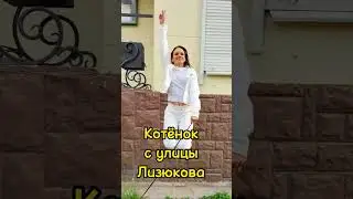 КОТЁНОК С УЛИЦЫ ЛИЗЮКОВО! #воронеж #сашавинтур #зарулем