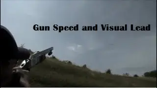 Gun Speed and Visual Lead