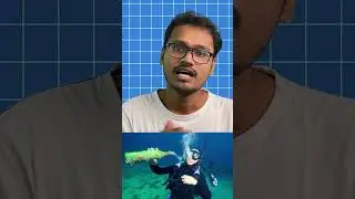 Martini Effect/ Deep sea Physiology