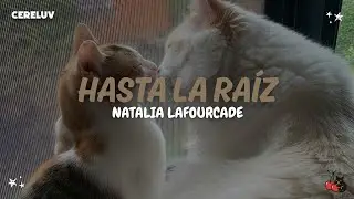 Natalia Lafourcade - Hasta La Raíz (Letra)