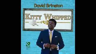 DAVID BRINSTON-take me back