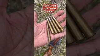 Shooting 115 Year old .303 Bullets #shorts #trending #303 #british #uk #britain #canada #usa #rifle