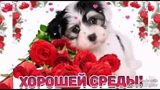 Ура среда!Красивая музыкальная открытка удачной среды!
