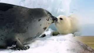 Cute moments!