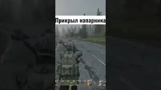 Сопровождаю товарища - dayz #dayz #дейз #stalker