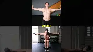 Calisthenics Vs Weights
