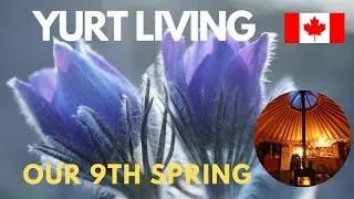 Our 9th Spring Living in a Yurt -in Canada's Far North-